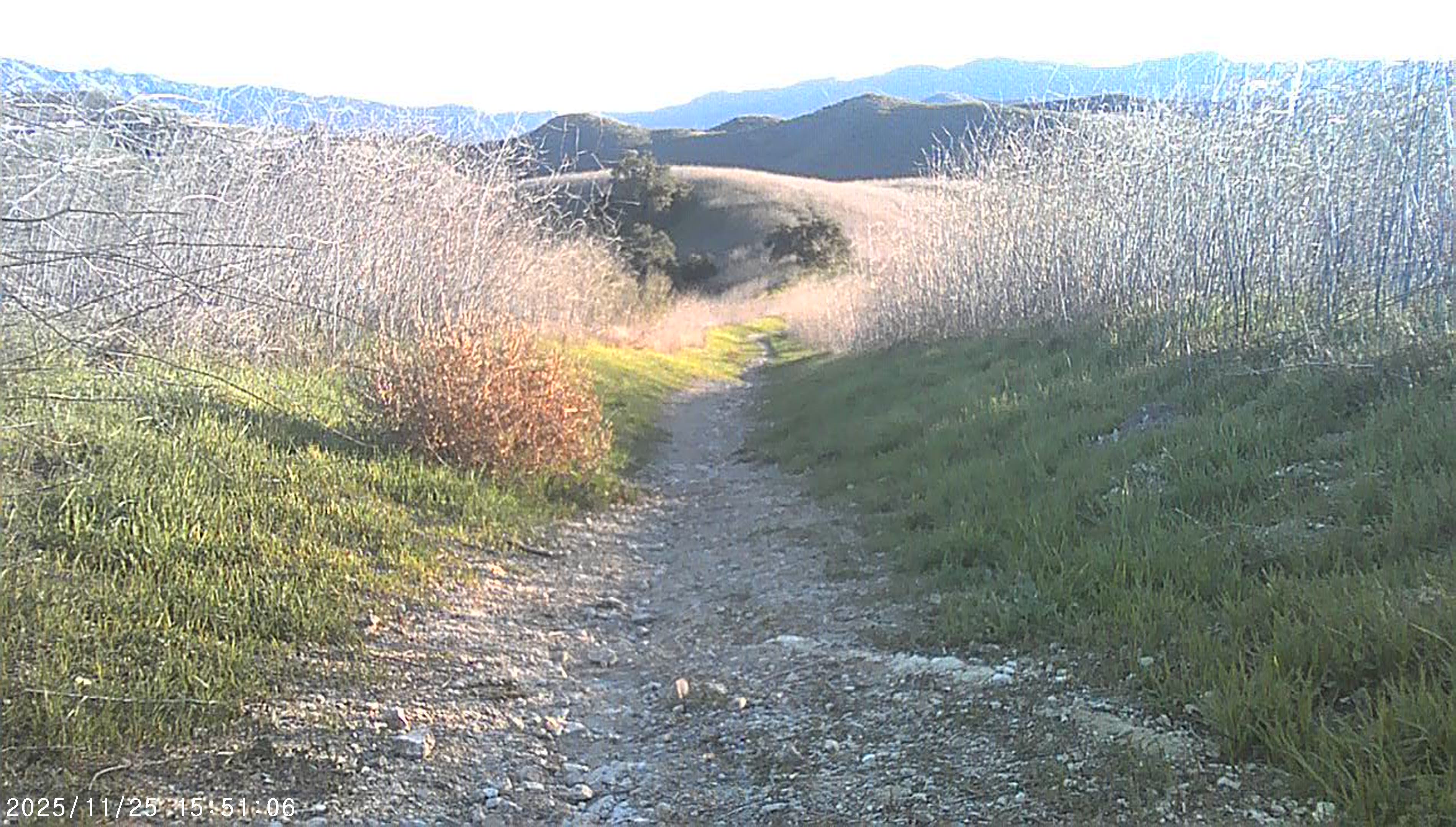 A dirt pathway